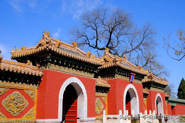 北海公园景点介绍，北海公园旅游攻略（北京周末去哪儿——北海公园）