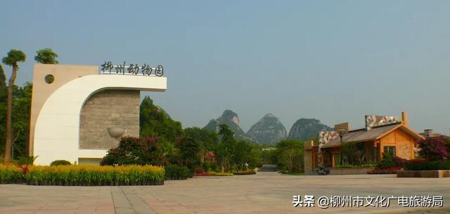 柳城县旅游攻略，攻略柳人游柳