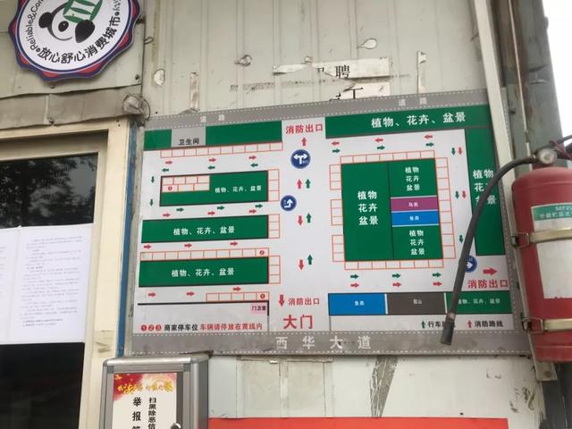 成都便宜的花卉市场在哪里，“214”探访成都万福花市