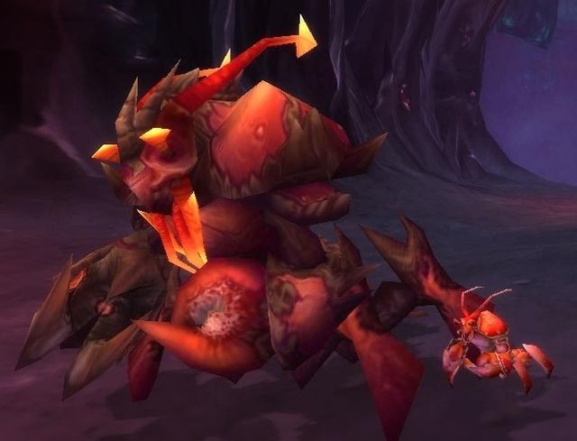 tbc各种鱼类分布，Tbc不可或缺的鱼