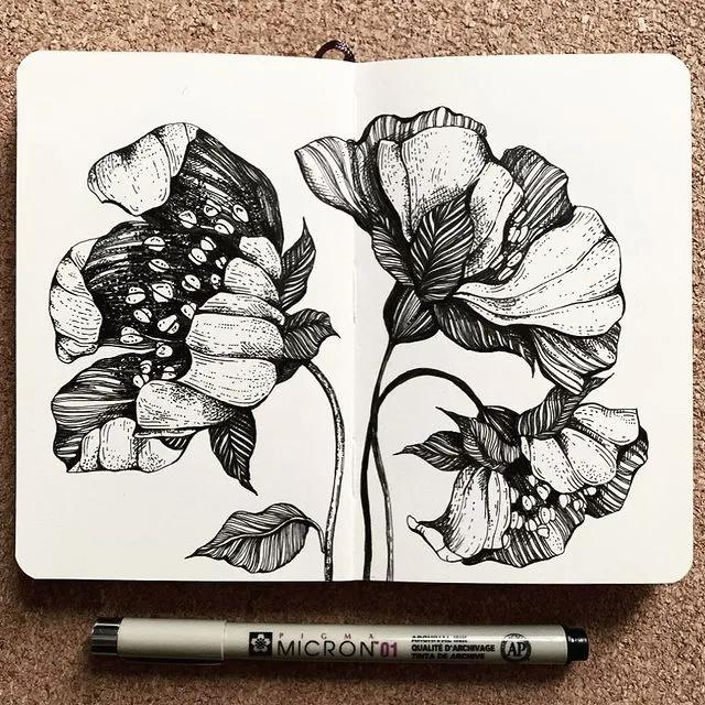 妙笔生花水墨画教程，教科书级别的植物线描