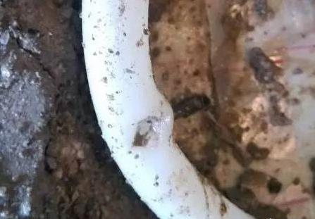 地暖漏水怎么补救最有效，地暖漏水是什么原因造成的