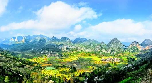 遇见最美的小镇，去针灸小镇赴一场玉兰之约~