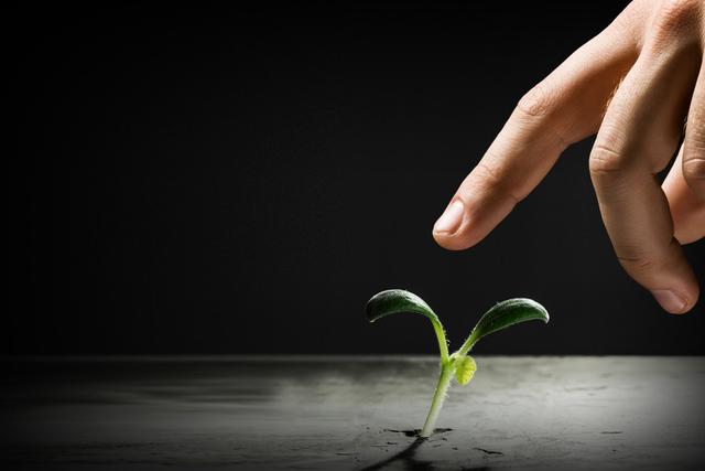 糖尿病生物题(简述糖尿病的生物化学检验)