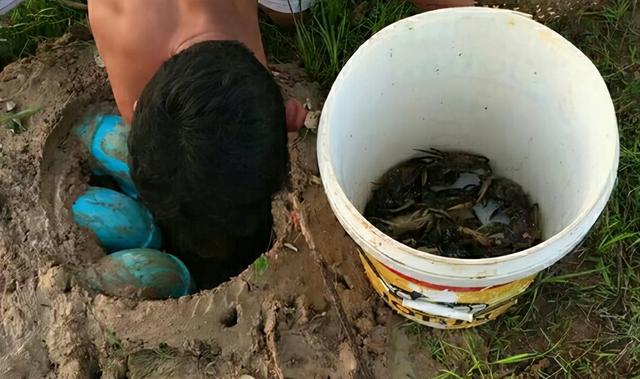 捕捉螃蟹的方法和技巧，它是螃蟹的一种