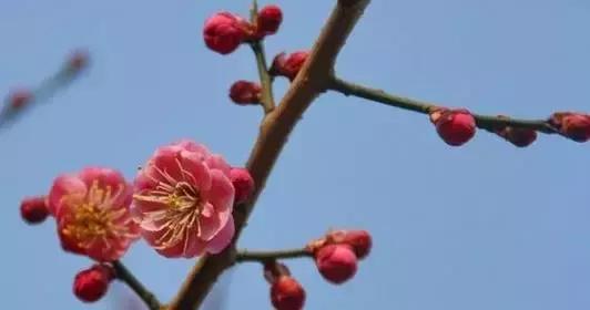 春的别称一个字，春天的称呼大全