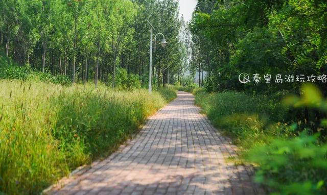 秦皇岛都有哪几所大学，秦皇岛这所可盐可甜的