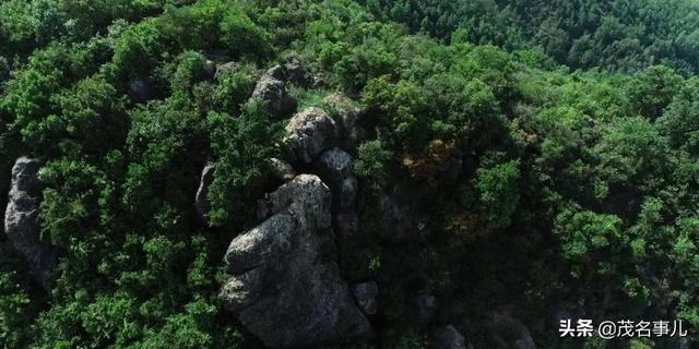 化州在哪里呀，你好化州