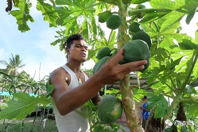 图瓦卢国简介，世界面积第四小国图瓦卢