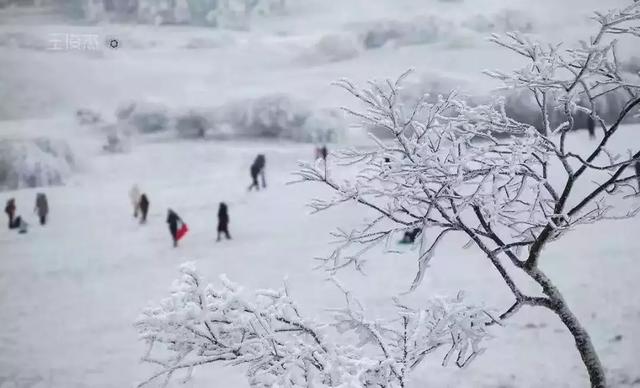 春节重庆旅游攻略必备，重庆人春节不出远门这里瞧