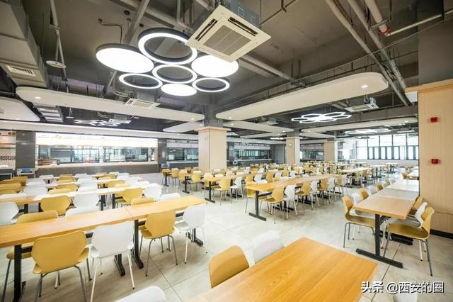 陕西青年职业学院，陕西青年职业学院官网介绍（我院举办2023年大型校园招聘会）