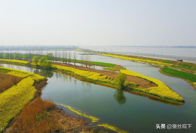 如皋长寿之乡文化节，江苏最“倒霉”的城市