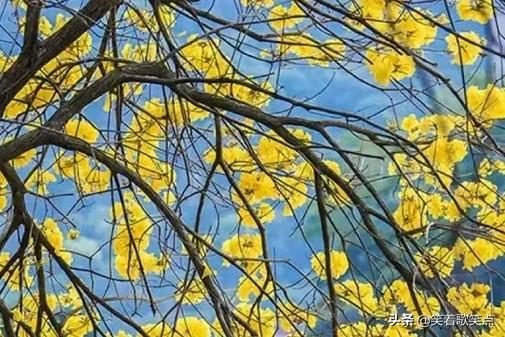 小小说不是嫌弃，小小说精选