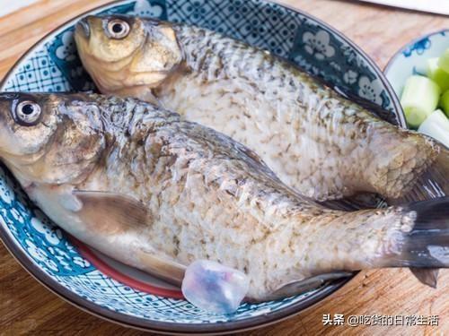 煮鱼汤用热水还是冷水，熬鱼汤应该放开水还是冷水（难怪鱼汤不白还腥）