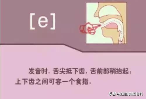 英语音标怎么学，初学英语者必看如何学习国际音标（资深老教师说：音标就该这样学）