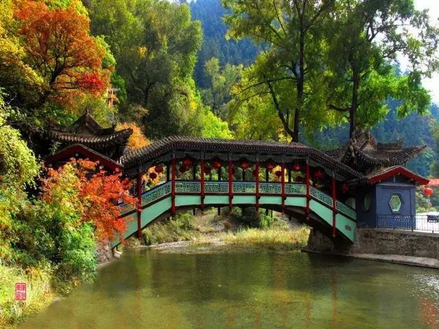 人间仙境满山红叶，原来是峨眉山的树叶红了……
