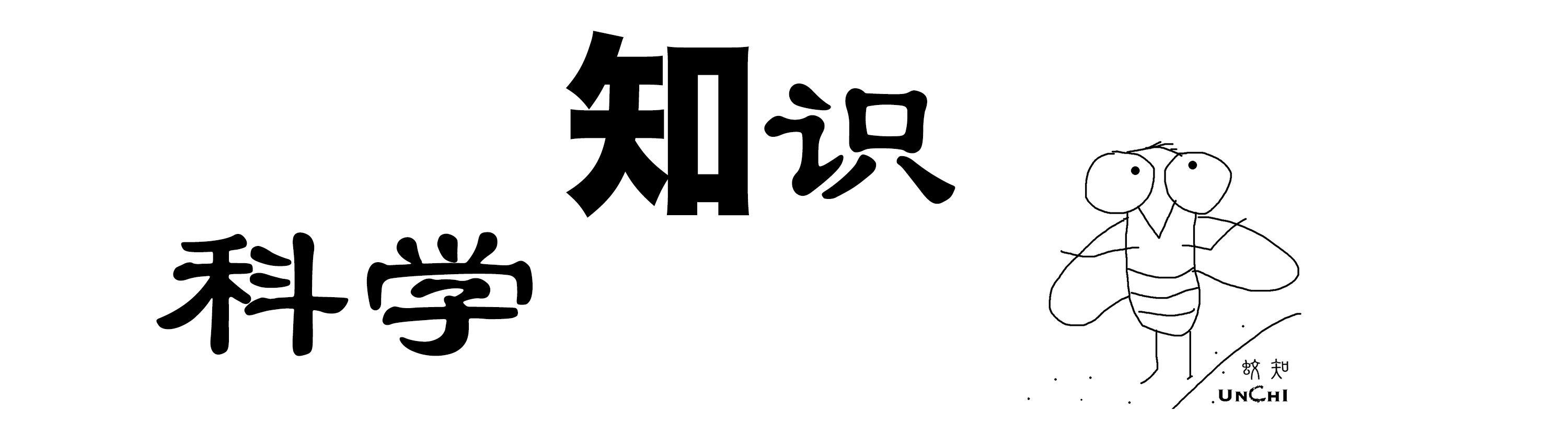 霸王项羽真实死因，据传西楚霸王项羽是双瞳孔