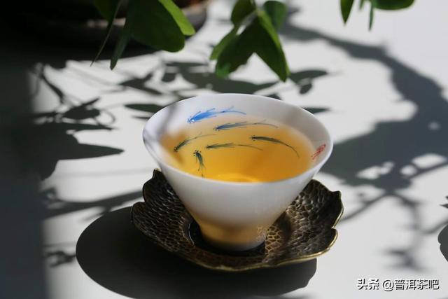 老曼峨属于什么茶类，为什么还有茶友喜欢喝