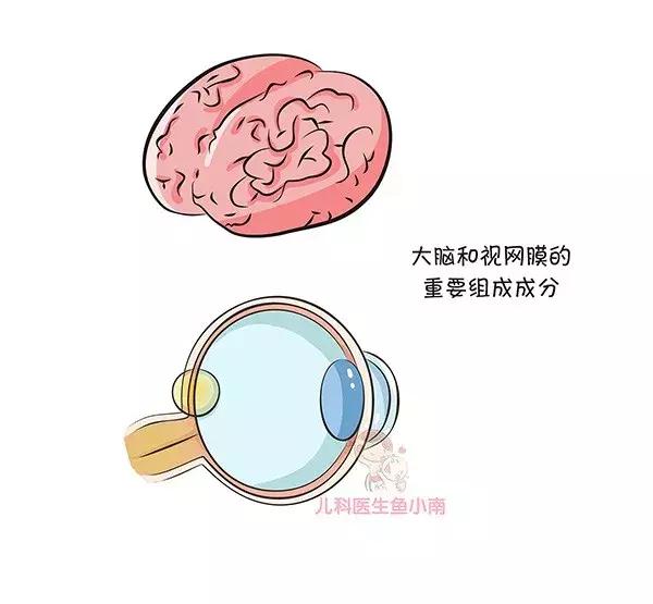 dha是什么东西常吃dha有害处吗，贯穿一生的营养素到底要不要补