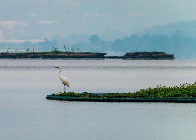 新余gdp总量，江西新余管辖的县