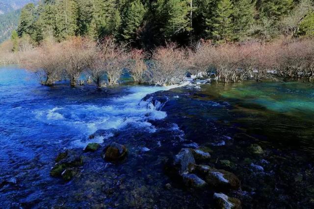 国庆节九寨沟旅游攻略，这份攻略请收好