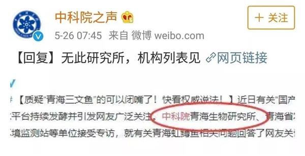 三文鱼和虹鳟鱼的区别看外观，连农国栋师傅都弄错的问题