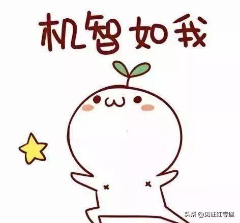 残疾人有什么补助，残疾人都可以申请什么补贴（残疾人两项补贴，您了解吗）