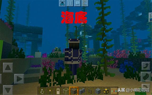 MC中有趣的9个种子，我的世界mc的知识