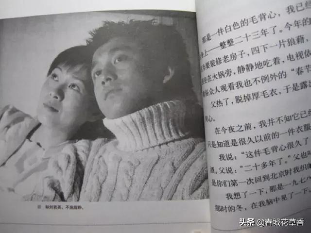黄磊一生的秘密，黄磊导演处女作似水年华