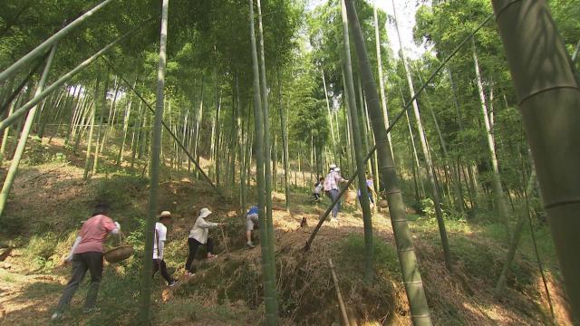 湖州，湖州旅游攻略自由行攻略