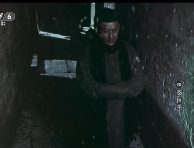 林家铺子创始人林楠身价，《大连品牌力量》专访大连林家铺子食品股份有限公司董事长林楠