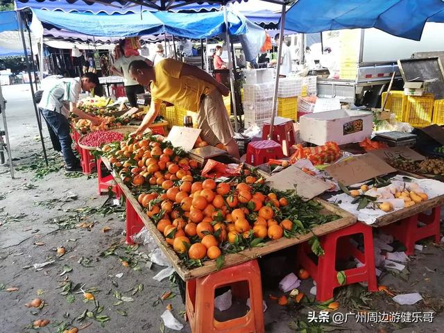 番禺化龙镇景区，快来pick你的“打卡点”吧