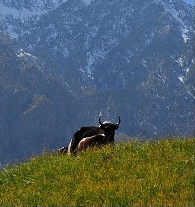 乌鞘岭长城走向，气势磅礴乌鞘岭