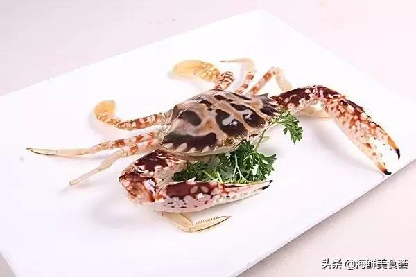 厦门特色海鲜排行榜，厦门人最喜欢的12种海鲜