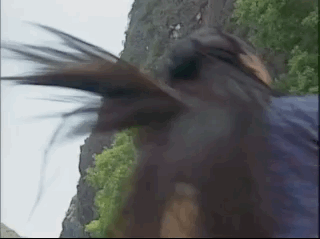 雪花神剑聂媚娘跟觉生掉进深谷，妖女胆大竟撩拨<第三集之二>