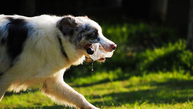 奥林巴斯em1，奥林巴斯em1mark3测评