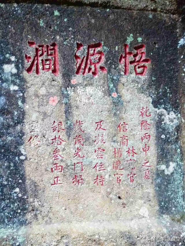 马头岩肉桂特点，既然三坑两涧里没有马头岩