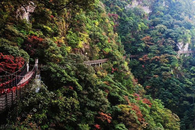江西6大名山，江西值得一游的6座名山