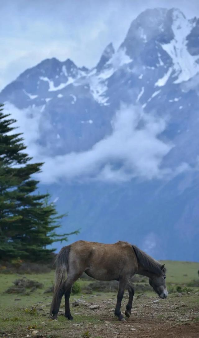 玉龙雪山几月份去最好，几月去丽江玉龙雪山最佳（玉龙雪山旅游攻略路线）