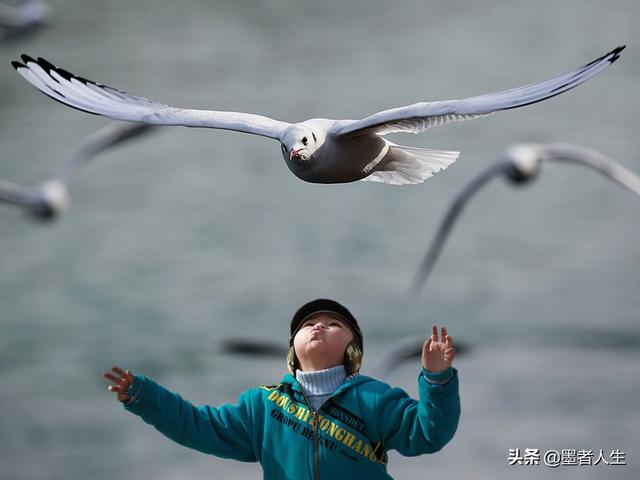 ps钢笔，ps 钢笔教程