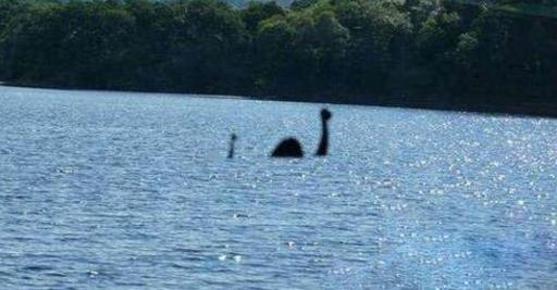 十大最可怕的海怪，十大最凶猛史前海洋怪兽