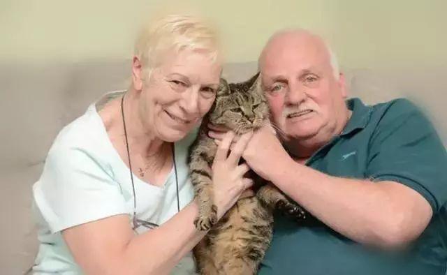猫一般可以活多久，猫一般可以活多久呢（猫咪的“生命”有8个阶段）