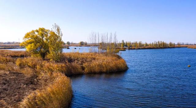 白洋淀冬天的生活，只有60来岁的人才会做……