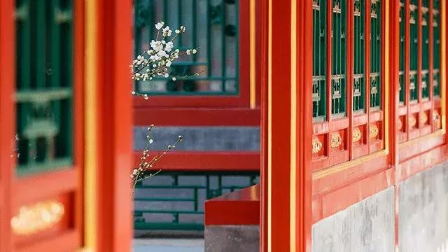 放下一切才是人生的智慧，放下的智慧苦海有岸