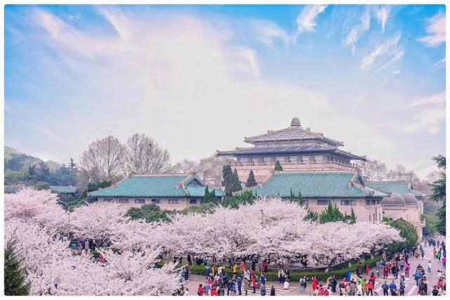 春天踏春赏花时间表，2023春日赏花踏青去哪