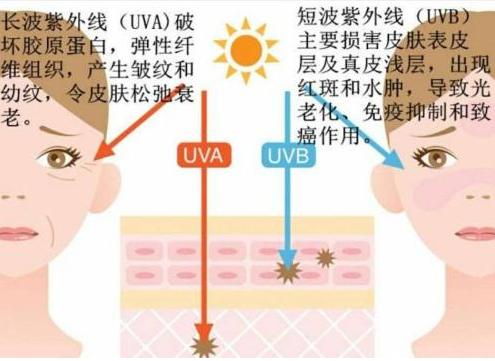 日光浴的危害到底有多大，日光浴不会变黑？会加速衰老