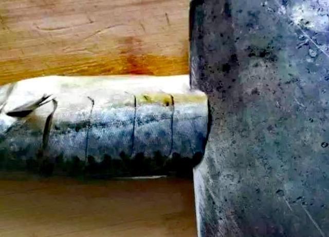 燕鲅有啥营养，学会两条燕尾鲅