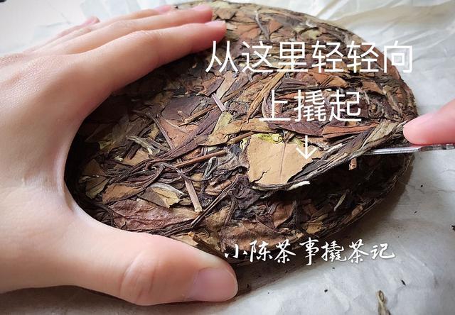 白茶茶饼怎么喝，白茶饼怎么冲泡图解