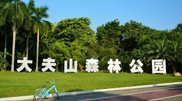 广州大夫山在哪，广州番禺-大夫山