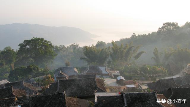 什么叫冰岛普洱茶茶语，为什么叫易武景迈